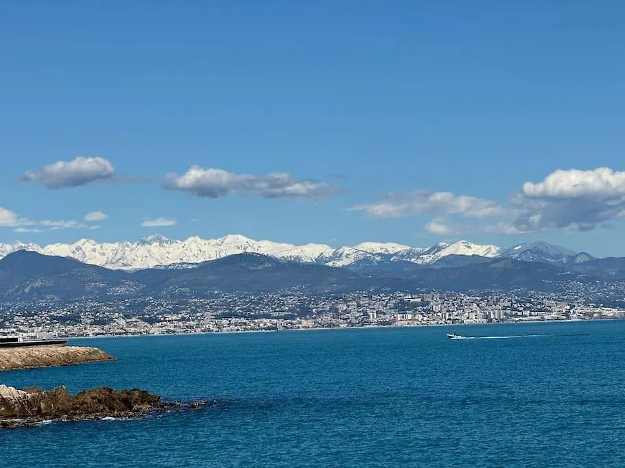 Cosy 2 Pieces Elegant Proche Gare Et Port Vauban Apartment Antibes