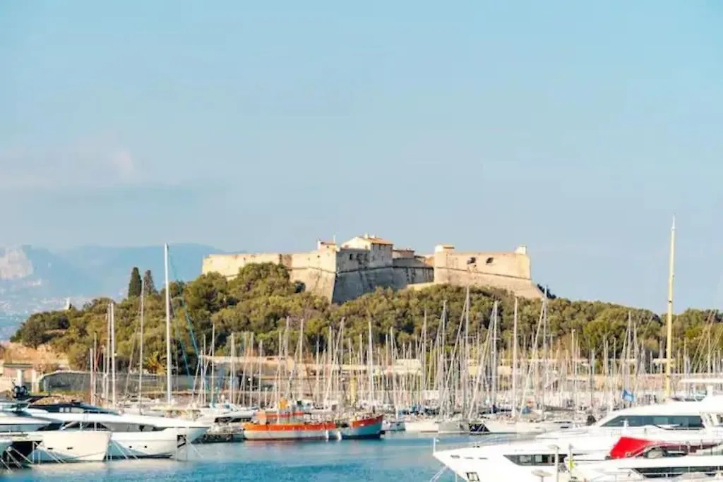 Cosy 2 Pieces Elegant Proche Gare Et Port Vauban Apartment Antibes